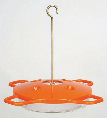 The Oriole Feeder 16 oz.