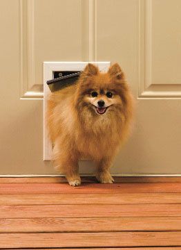 Freedom Aluminum Pet Door - Small