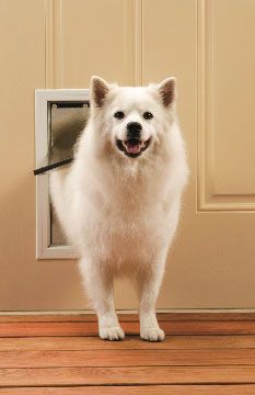Freedom Aluminum Pet Door - Medium