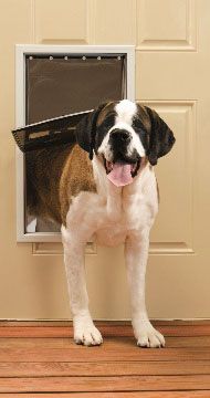 Freedom Aluminum Pet Door - X-Large