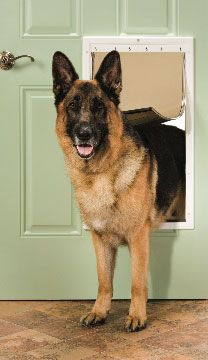 Freedom Plastic Pet Door - X-Large