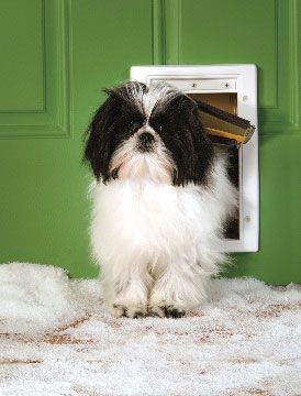 Extreme Weather Pet Door - Small
