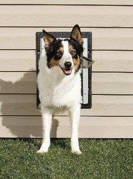 Wall Entry Pet Door - Medium