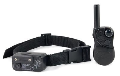 Yard Trainer - Stubborn Dog