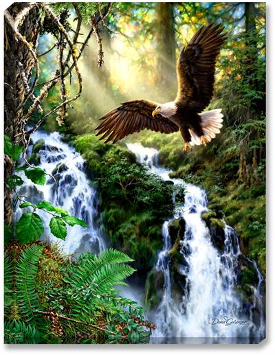 Glow Décor Eagle's Flight Illuminated Wall Art #D1205 by Dona Gelsigner A majestic American Bald Eagle soars above a sunlight mountain or hillside waterfall and creek. Ferns, moss, and evergreens add a brilliant green backdrop to the eagle.