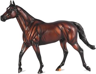 There’s nothing more powerful than when a wish comes true – and Thoroughbred racehorse Cody’s Wish is a living embodiment of dreams fulfilled.