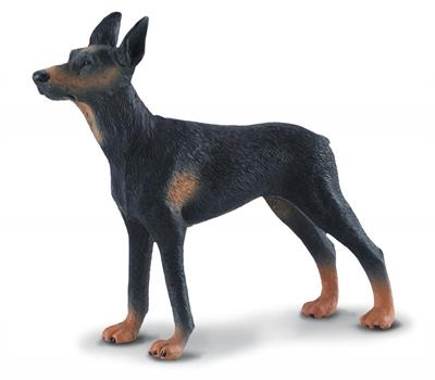 The 3.9''L x 3.5''H Doberman Pinscher is just one of the many beautifully sculpted pieces in CollectA's Cats and Dogs Collection.