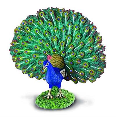 Measures 4" L x 3.5'' H. Farmlife Peacock by CollectA is beautifully sculpted and realistic in every detail from its amazing eye-spotted tail feathers to the iridescent blue and green quill feathers on it's head. Excellent for educational purposes and for