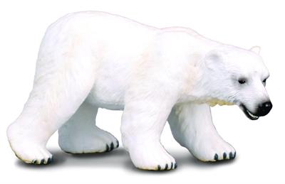 Collect A Wildlife Series Polar Bear, Walking #88214 Polar bear fur consists of a layer of dense underfur and an outer layer of guard hairs, which appear white to tan but are actually transparent. This toy figurine measures: 11cm X 6cm. This true to life, scaled-down Polar Bear is perfect for use in diorama