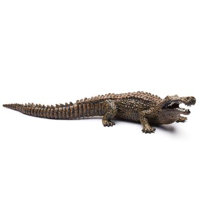 CollectA Prehistoric Life Sarcosuchus Dinosaur Toy #88334 This beautifully sculpted, collectible figure from our Prehistoric Life Collection measures 7.3''L x 2.2''H. Each figure in our Prehistoric Life Collection has been approved by archeologist Anthony Beeson, a well-respected expert in paleoimagery.