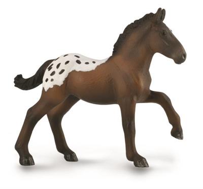 The Sugarbush Draft horse is a new American breed. The first foal was born in 1999. Originally bred as eye-catching carriage horses for The Sugarbush Hitch Co. in Ohio, today breeders strive to produce versatile, loud colored draft horses.