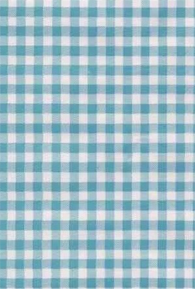 Gingham Light Blue Oil Cloth, Yardage Oilcloth yardage in classic Americana gingham checks. It doesn't get more traditional than this. We stock multiple colors to match your decor.
