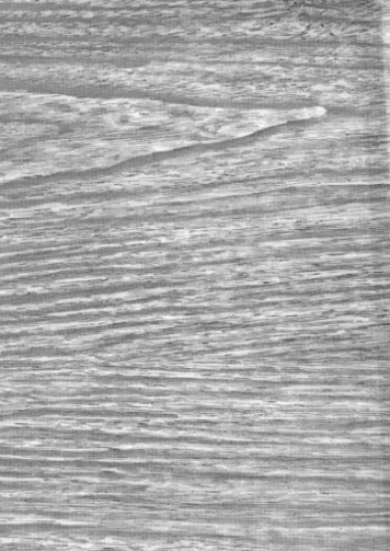 Faux Bois Ash Wood Grain Oil Cloth, Yardage Faux Bois Ash Wood Grain Oil Cloth, Yardage