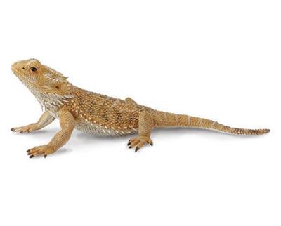 Breyer Horses CollectA Bearded Dragon Lizard #88567 From CollectA's Little Wonders Reptiles & Amphibians Collection. Realistic Bearded Dragon Lizard figurine measures 5.1"L x 1.6"H