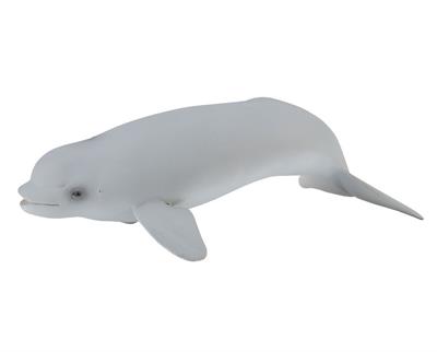 Belugas are gregarious and form groups of up to 10 animals on averages. They are slow swimmers, but can dive to 2,300 ft below the surface. CollectA's realistic Beluga Whale Calf figurine measures 3.9" L x 1.3" H. Ages 3+ | 1:18 Scale