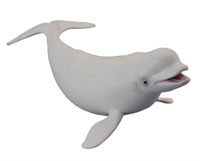 CollectA's realistic Beluga Whale figurine measures 6.89 in L x 3.54 in W x 1.97 in H. Ages 3+ | 1:18 Scale 