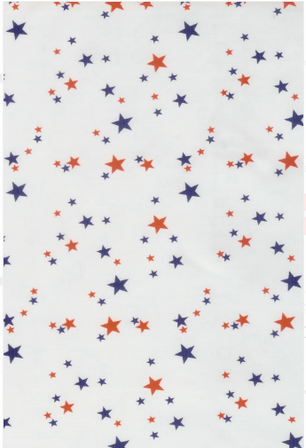 Boston on White Oil Cloth, Full Bolt