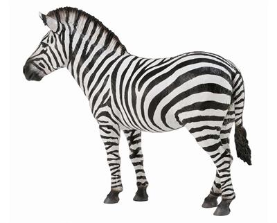 Breyer Horses CollectA Wildlife Series Common Zebra #88309 Toy Horse Model CollectA's realistic Common Zebra figurine measures 4.72" L x 1.97" H x 3.74" W. For ages 3 and up. 1:18 Scale.