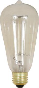 exposed filament edison style vintage light bulb
