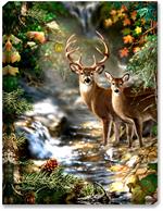 A fall 4 point buck stands along side his doe, in front of a mountain creek, with fall foliage and leaves.
