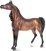 Presence is something that cannot be taught, but for those lucky enough to be born with it, that quality can take them far. Owned by Rae Dawn Arabians, 2013 mare RD Marciea Bey oozes personality and charisma in the show ring.