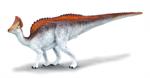 The plant-eating Olorotitan could probably walk on its hind legs and on all fours. This beautifully sculpted, collectible figure from our Prehistoric Life Collection measures 5.7''L x 2.4''H. Each prehistoric figure in our collection has been approved by 