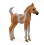 Yellow and White standing young horse, colt or filly