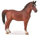 The Hackney Horse originated in Norfolk, England as a swift, elegant riding horse. Over time its reputation also grew as an outstanding driving horse due to its spectacular, high stepping trot and stamina. The modern Hackney is a versatile breed used for 