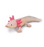Axolotls are used extensively in scientific research due to their ability to regenerate limbs, gills and parts of their eyes and brains.
