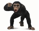  The Chimpanzee's feet are adapted for grasping, the big toe being opposable. CollectA's Chimnpanzee Male figurine toy measures 2.4