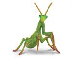 Breyer Horses CollectA Praying Mantis #88351 From Collect A's Little Wonders Spider Collection  Mantises are an order of insects that contain over 2,400 species. The largest family is the Mantidae (