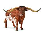 The Texas Longhorn is a breed of cattle known for its characteristic horns, which can extend to over 100 inches tip to tip for cows and bulls.